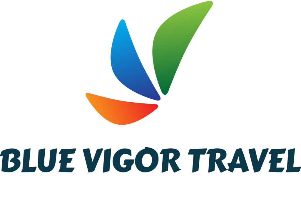 Blue Vigor Travel